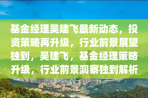 基金經(jīng)理吳建飛最新動態(tài)，投資策略再升級，行業(yè)前景展望獨(dú)到，吳建飛，基金經(jīng)理策略升級，行業(yè)前景洞察獨(dú)到解析