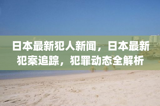 日本最新犯人新聞，日本最新犯案追蹤，犯罪動態(tài)全解析