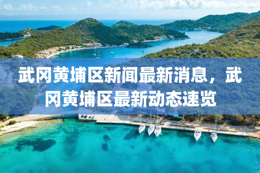 武岡黃埔區(qū)新聞最新消息，武岡黃埔區(qū)最新動態(tài)速覽