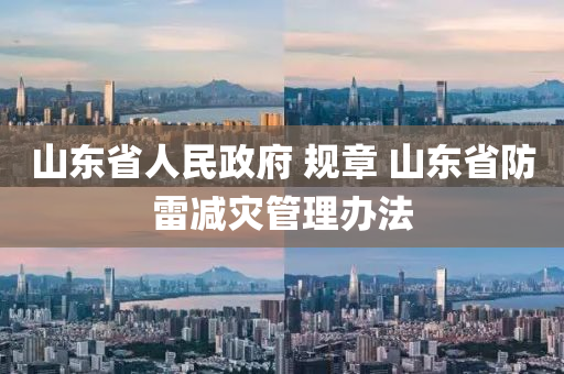 山東省人民政府 規(guī)章 山東省防雷減災(zāi)管理辦法