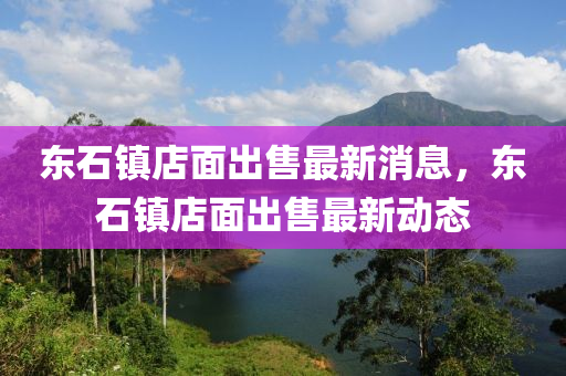 東石鎮(zhèn)店面出售最新消息，東石鎮(zhèn)店面出售最新動態(tài)