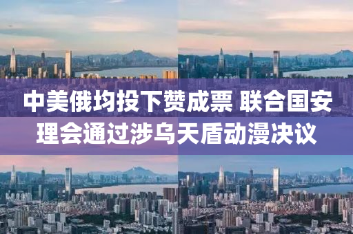 中美俄均投下贊成票 聯(lián)合國安理會通過涉烏天盾動漫決議