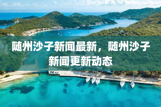 隨州沙子新聞最新，隨州沙子新聞更新動(dòng)態(tài)