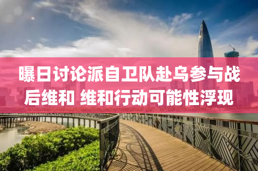 曝日討論派自衛(wèi)隊(duì)赴烏參與戰(zhàn)后維和 維和行動(dòng)可能性浮現(xiàn)