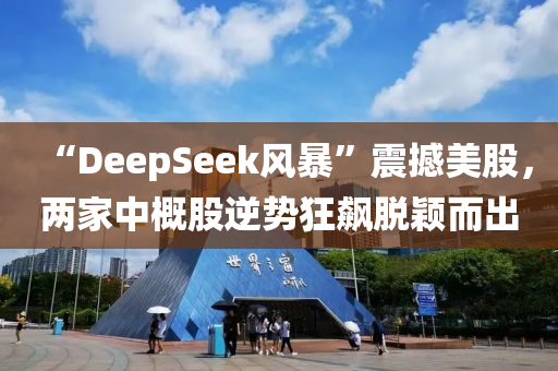 “DeepSeek風(fēng)暴”震撼美股，兩家中概股逆勢狂飆脫穎而出