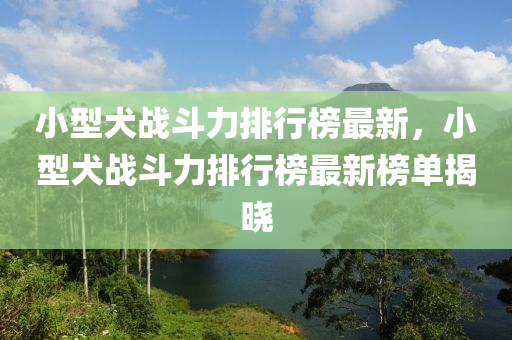 小型犬戰(zhàn)斗力排行榜最新，小型犬戰(zhàn)斗力排行榜最新榜單揭曉