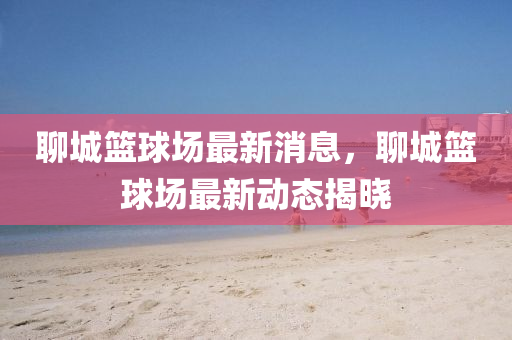 聊城籃球場最新消息，聊城籃球場最新動態(tài)揭曉