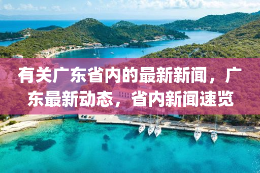 有關(guān)廣東省內(nèi)的最新新聞，廣東最新動(dòng)態(tài)，省內(nèi)新聞速覽