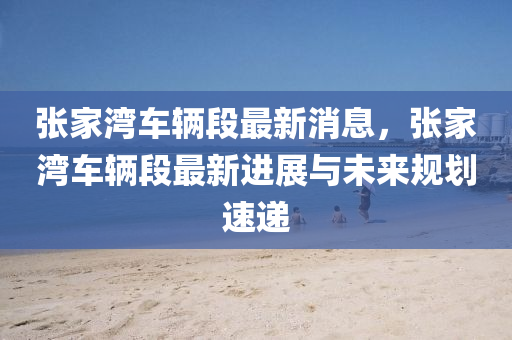 張家灣車輛段最新消息，張家灣車輛段最新進(jìn)展與未來(lái)規(guī)劃速遞