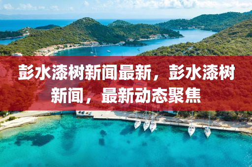 彭水漆樹(shù)新聞最新，彭水漆樹(shù)新聞，最新動(dòng)態(tài)聚焦
