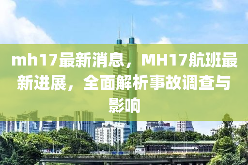 mh17最新消息，MH17航班最新進展，全面解析事故調查與影響
