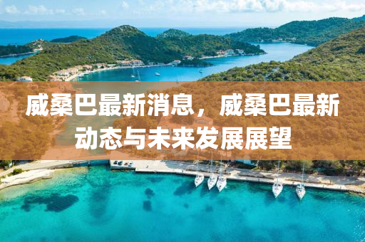 威桑巴最新消息，威桑巴最新動態(tài)與未來發(fā)展展望