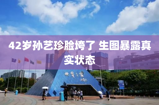 42歲孫藝珍臉垮了 生圖暴露真實狀態(tài)