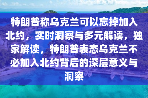 特朗普稱烏克蘭可以忘掉加入北約，實時洞察與多元解讀，獨家解讀，特朗普表態(tài)烏克蘭不必加入北約背后的深層意義與洞察