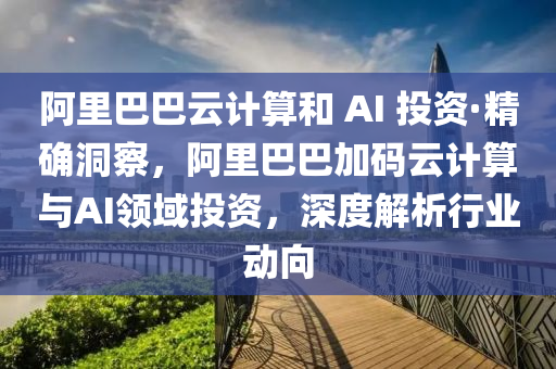 阿里巴巴云計算和 AI 投資·精確洞察，阿里巴巴加碼云計算與AI領域投資，深度解析行業(yè)動向