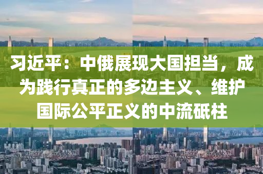 習(xí)近平：中俄展現(xiàn)大國擔當，成為踐行真正的多邊主義、維護國際公平正義的中流砥柱