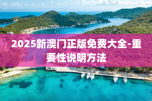 2025新澳門正版免費(fèi)大全-重要性說明方法
