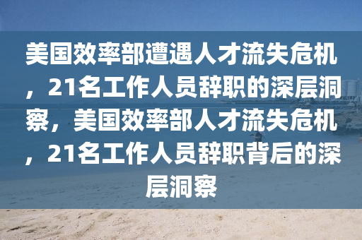 美國效率部遭遇人才流失危機，21名工作人員辭職的深層洞察，美國效率部人才流失危機，21名工作人員辭職背后的深層洞察