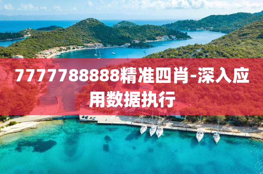 7777788888精準(zhǔn)四肖-深入應(yīng)用數(shù)據(jù)執(zhí)行