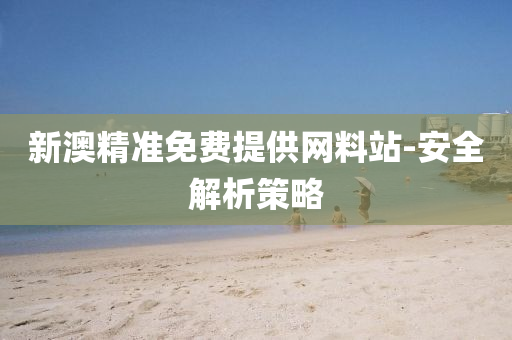 新澳精準(zhǔn)免費提供網(wǎng)料站-安全解析策略