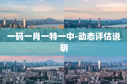 一碼一肖一特一中-動態(tài)評估說明