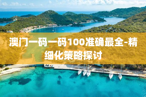 澳門(mén)一碼一碼100準(zhǔn)確最全-精細(xì)化策略探討