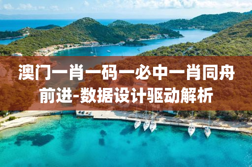 澳門一肖一碼一必中一肖同舟前進(jìn)-數(shù)據(jù)設(shè)計(jì)驅(qū)動(dòng)解析