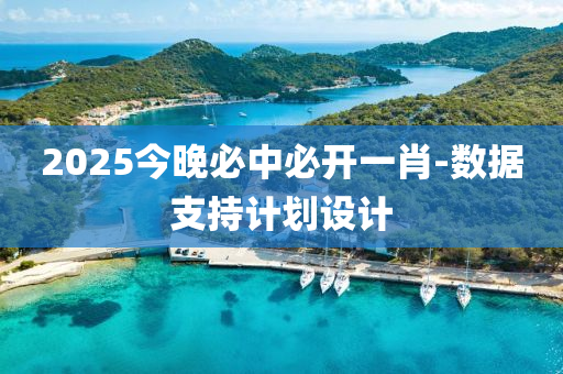 2025今晚必中必開(kāi)一肖-數(shù)據(jù)支持計(jì)劃設(shè)計(jì)