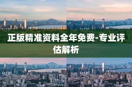 正版精準(zhǔn)資料全年免費(fèi)-專業(yè)評估解析