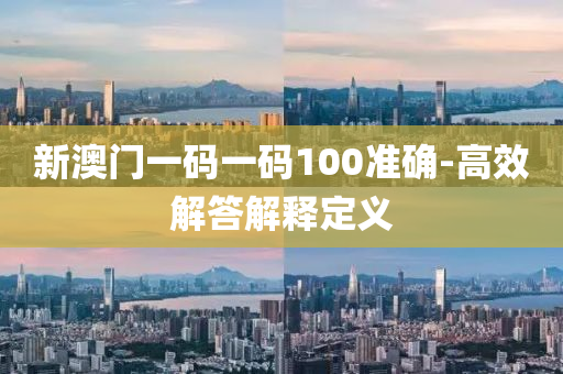 新澳門(mén)一碼一碼100準(zhǔn)確-高效解答解釋定義