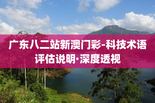廣東八二站新澳門彩-科技術(shù)語評估說明·深度透視