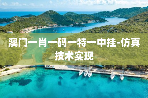 澳門一肖一碼一特一中掛-仿真技術(shù)實現(xiàn)