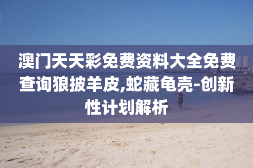 澳門天天彩免費資料大全免費查詢狼披羊皮,蛇藏龜殼-創(chuàng)新性計劃解析