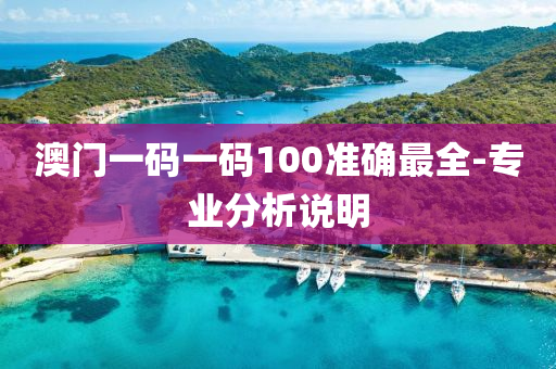 澳門一碼一碼100準確最全-專業(yè)分析說明