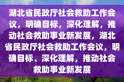 湖北省民政廳社會救助工作會議，明確目標，深化理解，推動社會救助事業(yè)新發(fā)展，湖北省民政廳社會救助工作會議，明確目標、深化理解，推動社會救助事業(yè)新發(fā)展