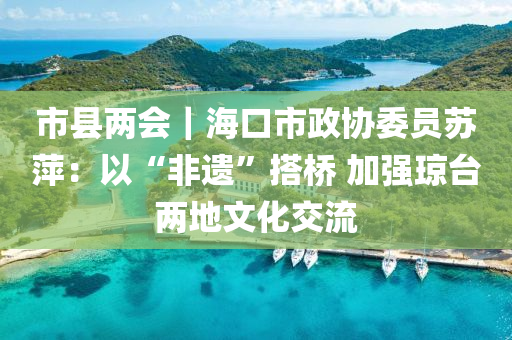 市縣兩會(huì)｜海口市政協(xié)委員蘇萍：以“非遺”搭橋 加強(qiáng)瓊臺(tái)兩地文化交流