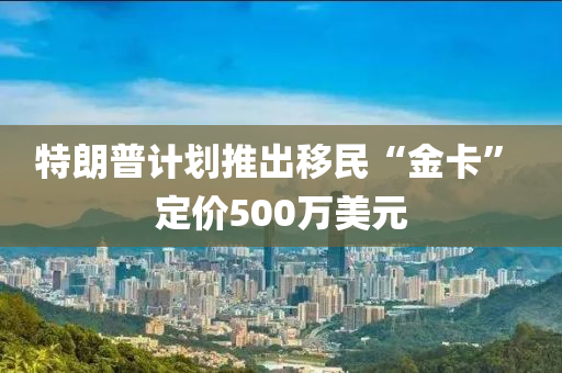 特朗普計(jì)劃推出移民“金卡” 定價(jià)500萬(wàn)美元