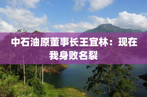 中石油原董事長王宜林：現(xiàn)在我身敗名裂