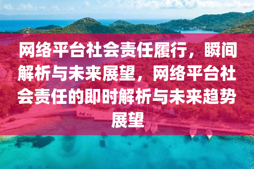 網(wǎng)絡(luò)平臺(tái)社會(huì)責(zé)任履行，瞬間解析與未來展望，網(wǎng)絡(luò)平臺(tái)社會(huì)責(zé)任的即時(shí)解析與未來趨勢(shì)展望