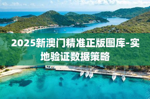 2025新澳門精準(zhǔn)正版圖庫-實(shí)地驗(yàn)證數(shù)據(jù)策略