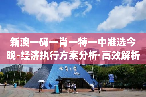 新澳一碼一肖一特一中準(zhǔn)選今晚-經(jīng)濟(jì)執(zhí)行方案分析·高效解析