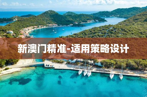 新澳門(mén)精準(zhǔn)-適用策略設(shè)計(jì)