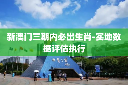 新澳門(mén)三期內(nèi)必出生肖-實(shí)地?cái)?shù)據(jù)評(píng)估執(zhí)行