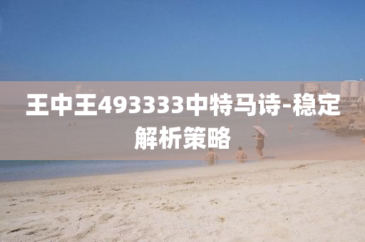 王中王493333中特馬詩(shī)-穩(wěn)定解析策略
