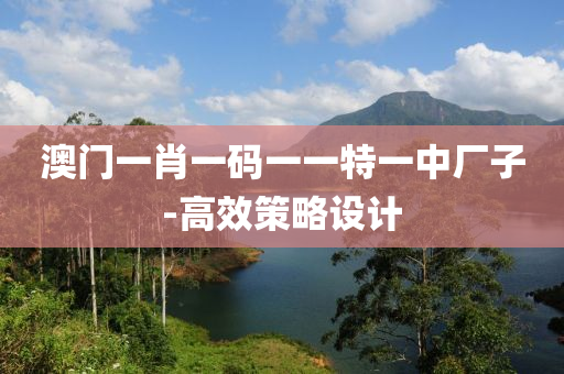 澳門(mén)一肖一碼一一特一中廠子-高效策略設(shè)計(jì)