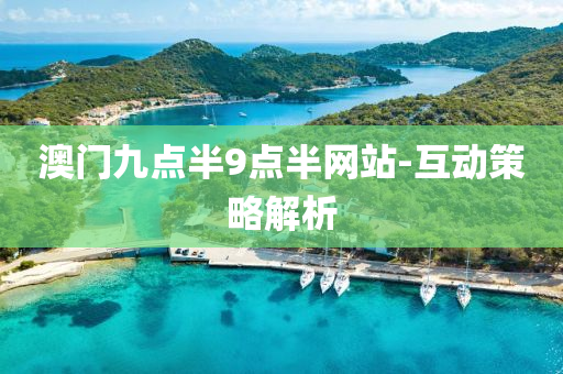 澳門九點半9點半網(wǎng)站-互動策略解析