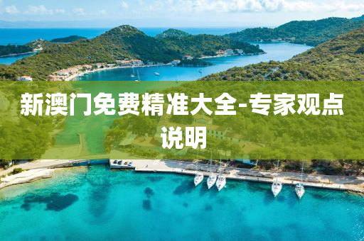 新澳門(mén)免費(fèi)精準(zhǔn)大全-專家觀點(diǎn)說(shuō)明