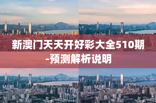 新澳門天天開好彩大全510期-預(yù)測解析說明