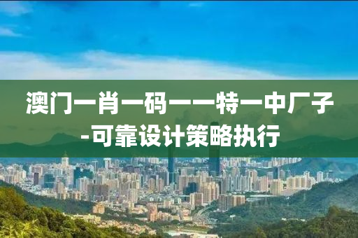 澳門一肖一碼一一特一中廠子-可靠設(shè)計策略執(zhí)行