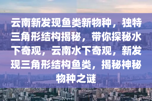 云南新發(fā)現(xiàn)魚(yú)類新物種，獨(dú)特三角形結(jié)構(gòu)揭秘，帶你探秘水下奇觀，云南水下奇觀，新發(fā)現(xiàn)三角形結(jié)構(gòu)魚(yú)類，揭秘神秘物種之謎